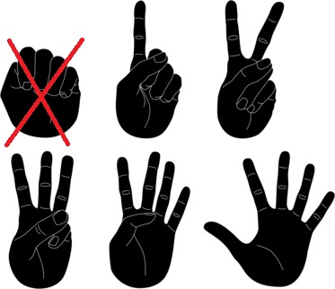 Fist of Five Voting Method Option 2